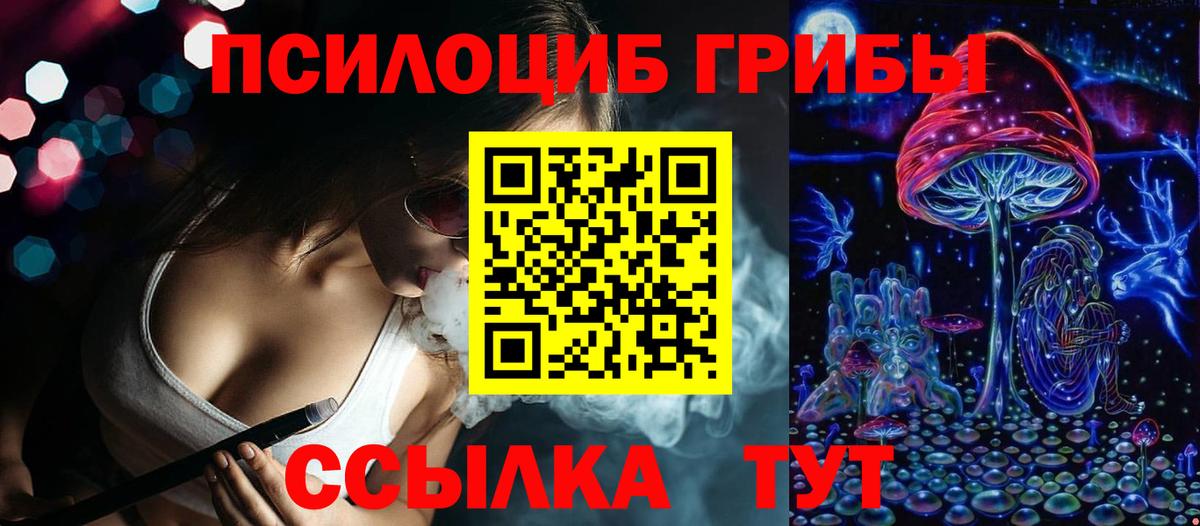 Аксай  Псилоцибиновые грибы Psilocybine cubensis  Вход с VPN 